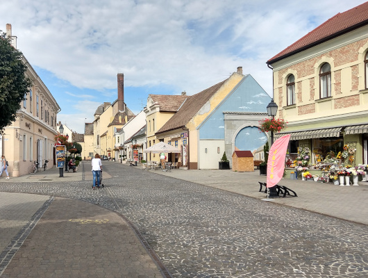 the pedestrian cobblestone street of Mosonmagyaróvár