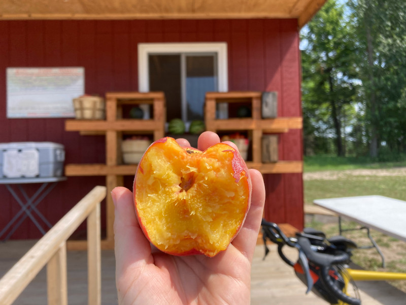 a half-eaten peach in the middle of the frame, with the fruit stand in the background